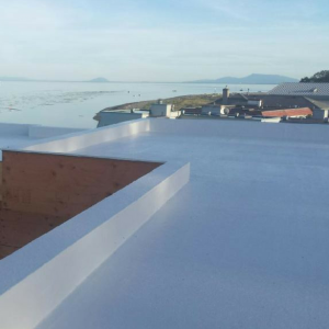direct to substrate - seamless roofing membrane vancouver - seamless roofing vancouver - roof waterproofing